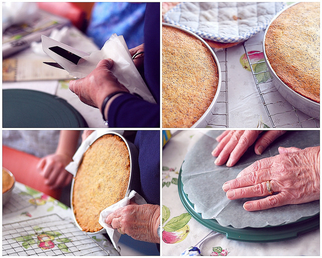 Grandma's Cooking School: Poppy Seed Torte