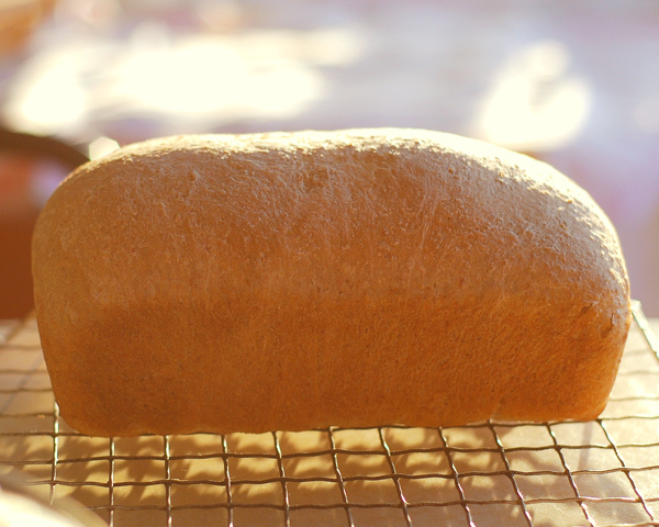 Grandma’s Cooking School: Homemade Bread & Sweet Rolls