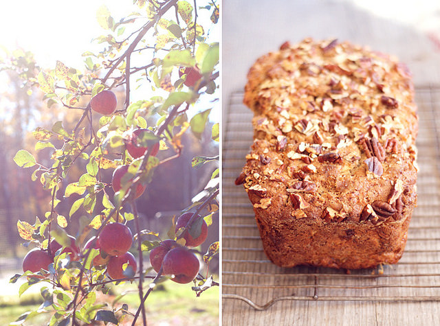 Maple Apple Pecan Bread | Buttered Side Up