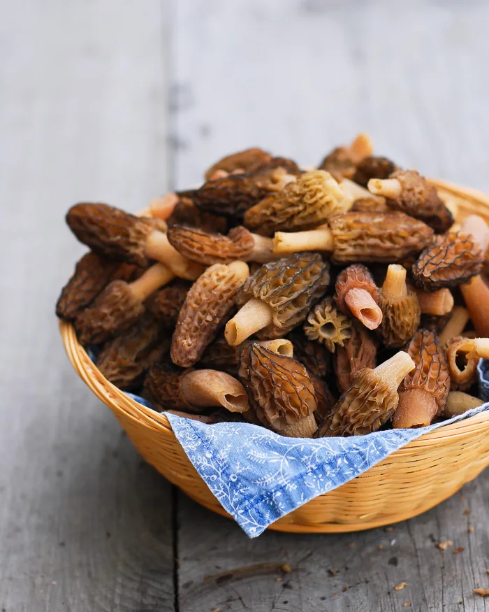 Morel Mushrooms