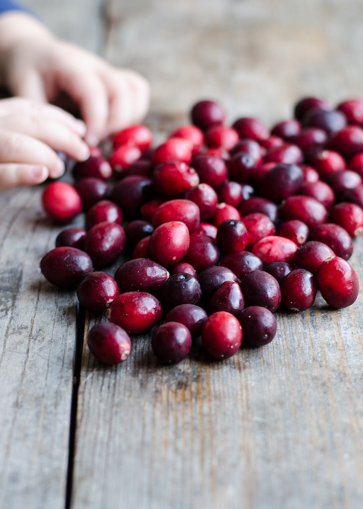 Homemade Cranberry Sauce