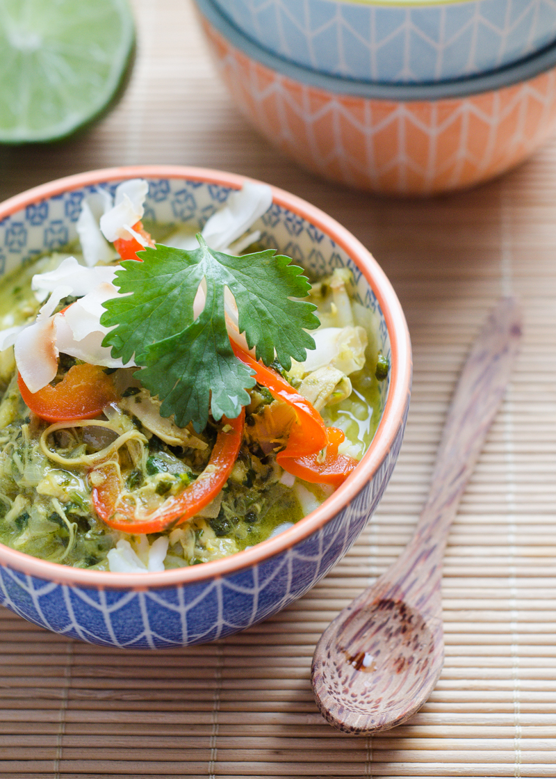 Coconut Curry Chicken Soup with Coconut Milk!