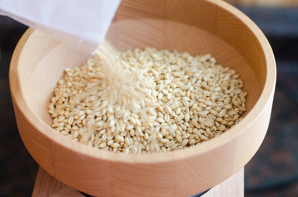 KoMo Grain Mill Review