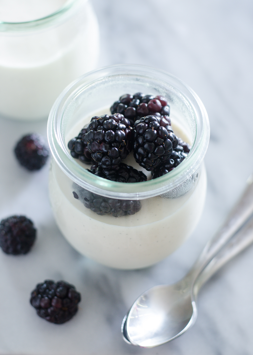 Russian Cream (or Sour Cream Panna Cotta) -- a slightly tangy, delightfully creamy dessert. It's stupidly easy to make.