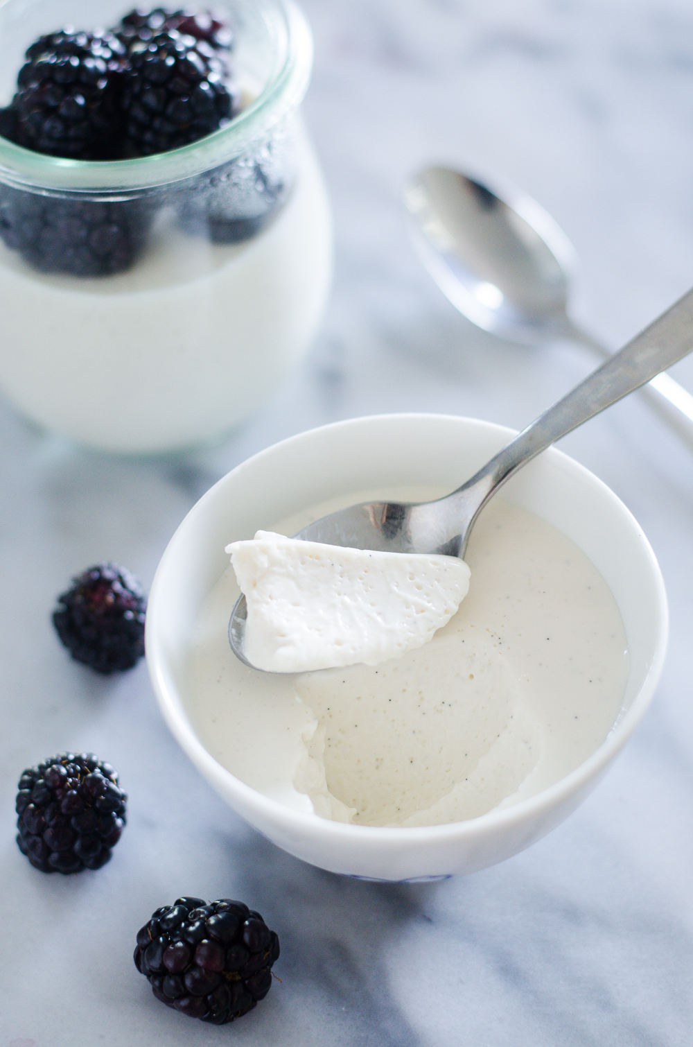 Russian Cream (or Sour Cream Panna Cotta) -- a slightly tangy, delightfully creamy dessert. It's stupidly easy to make.