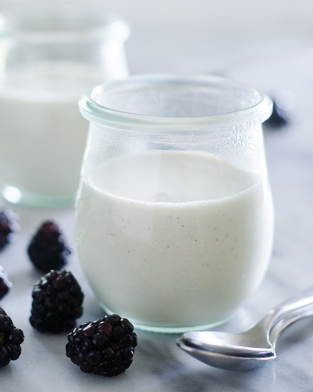 Russian Cream (or Sour Cream Panna Cotta) -- a slightly tangy, delightfully creamy dessert. It's stupidly easy to make.