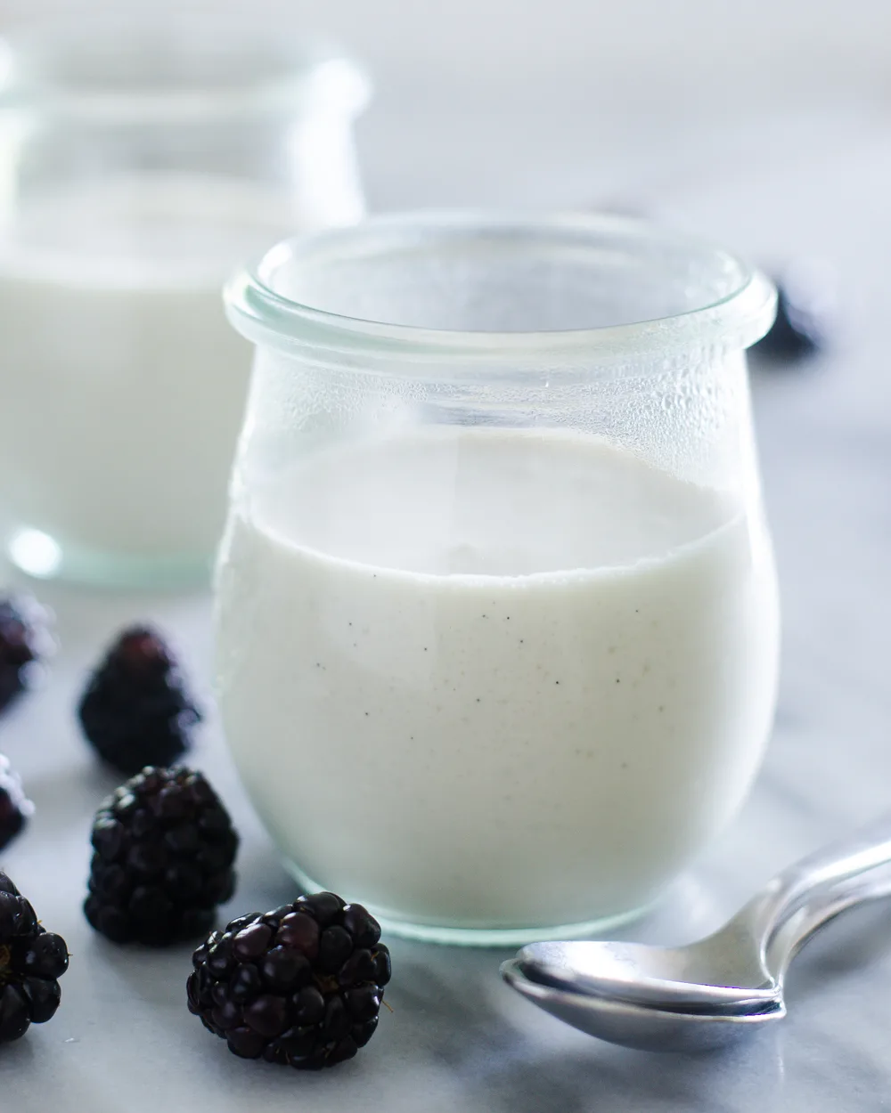 Russian Cream (or Sour Cream Panna Cotta) -- a slightly tangy, delightfully creamy dessert. It's stupidly easy to make.