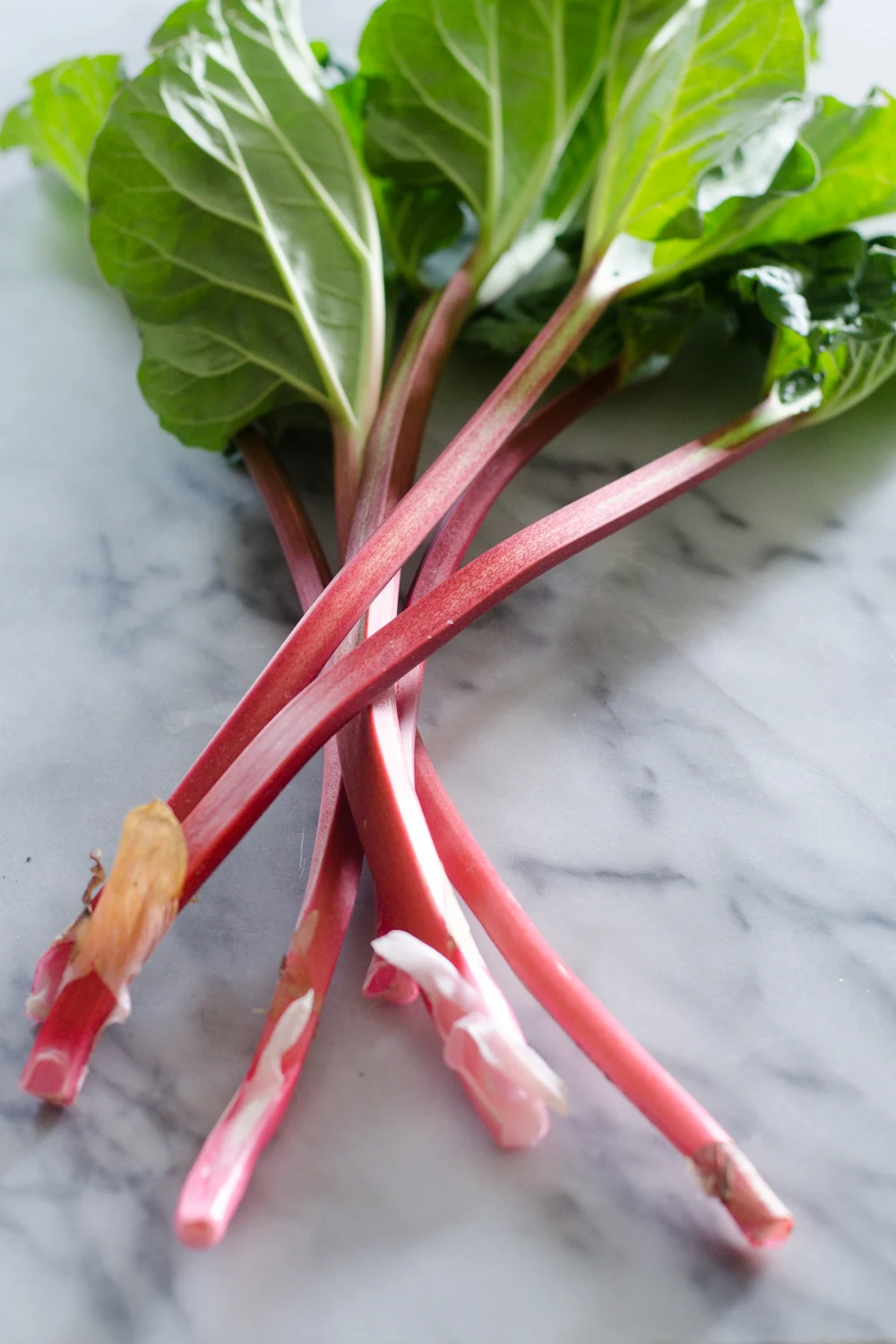 Stalks of rhubarb on a marble surface.
