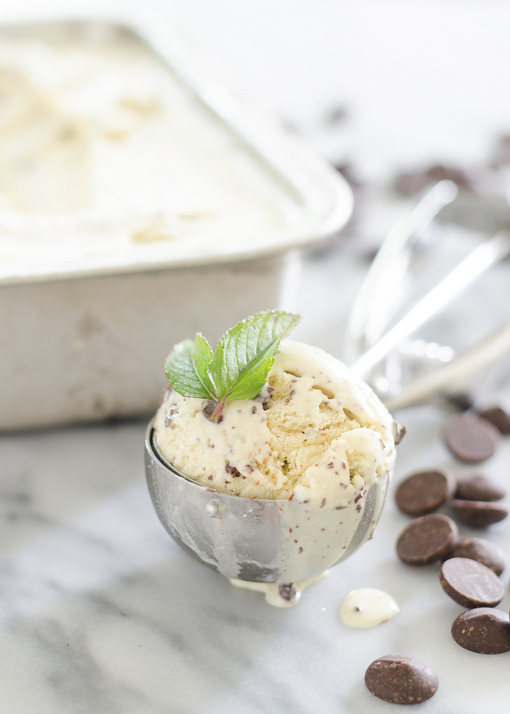 Mint Chip Ice Cream