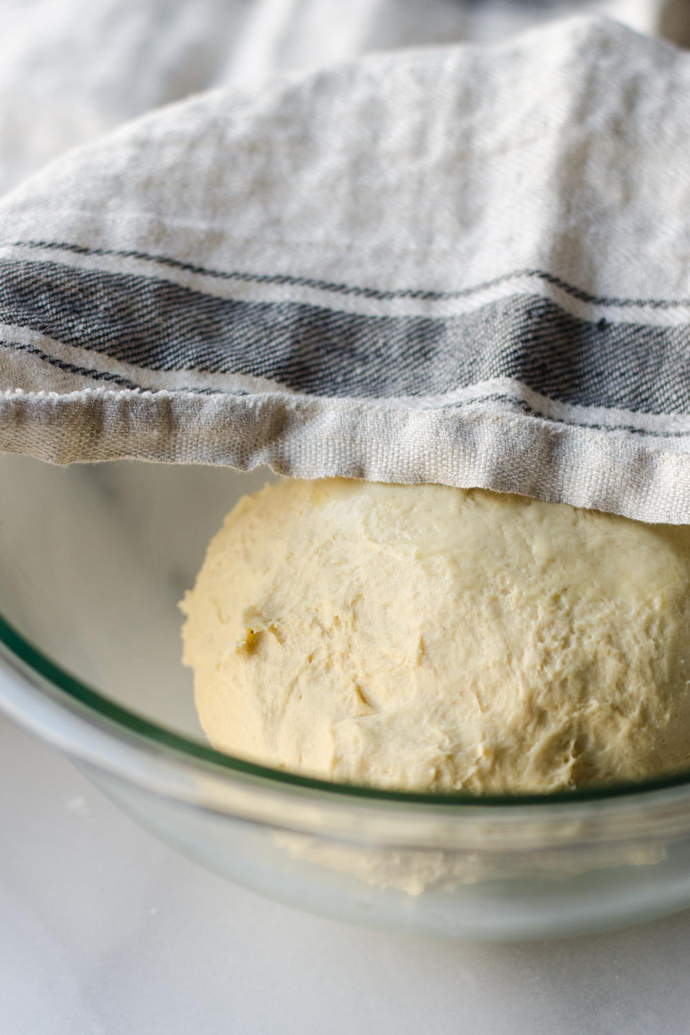 Einkorn Pizza Dough Recipe