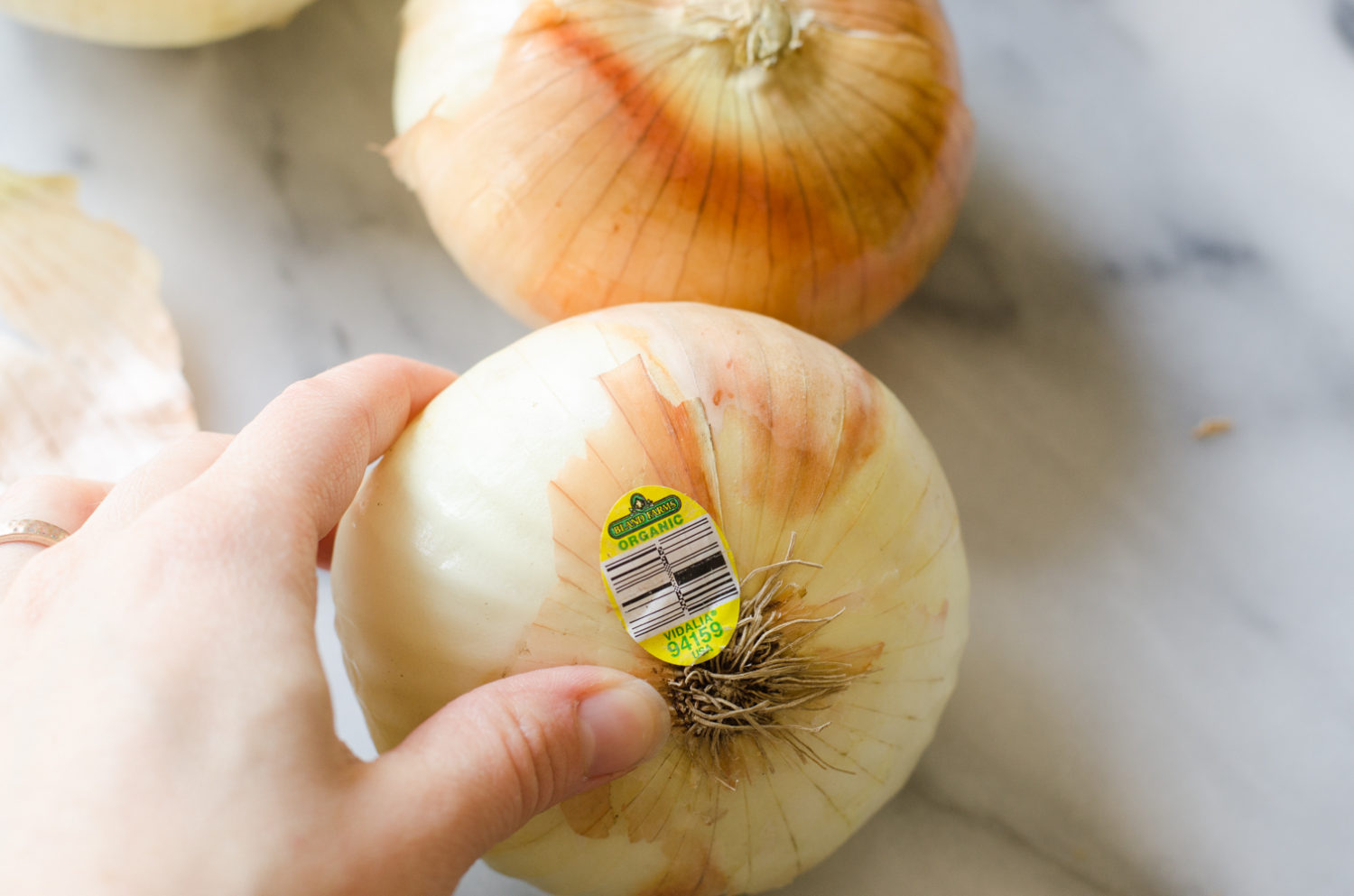 All About Vidalia Onions