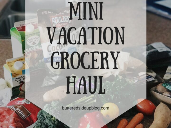 Mini Vacation Grocery Haul