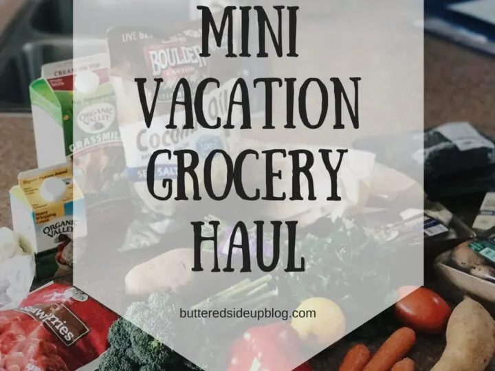 Mini Vacation Grocery Haul