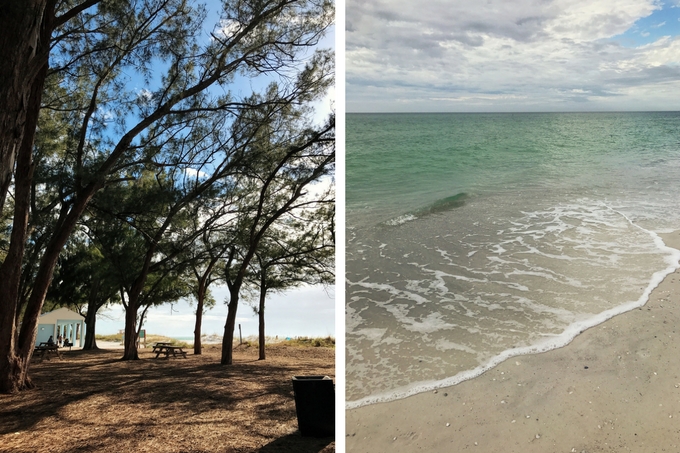 Our Florida Trip - Coquina Beach