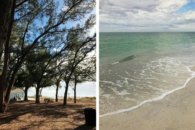 Our Florida Trip - Coquina Beach
