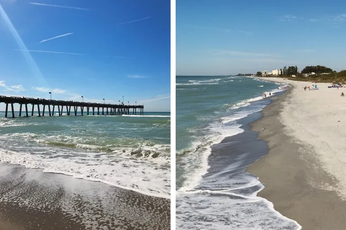 Our Florida Trip - Venice Beach