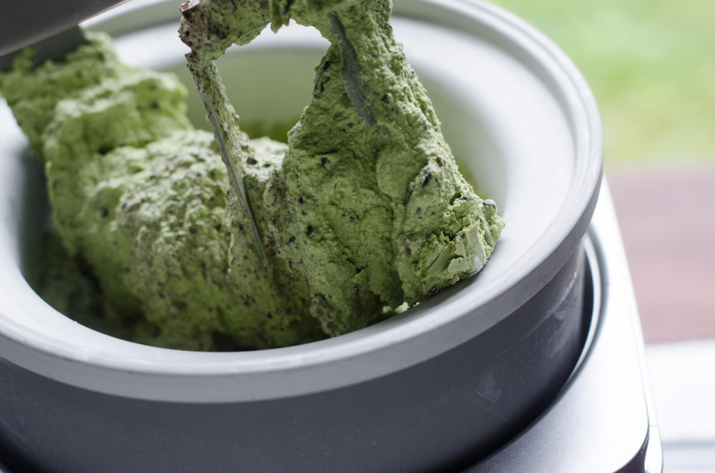 Matcha Chocolate Chunk Ice Cream Recipe