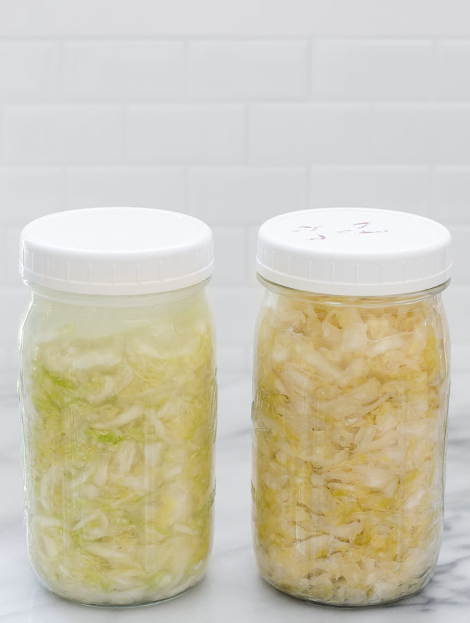Homemade Sauerkraut