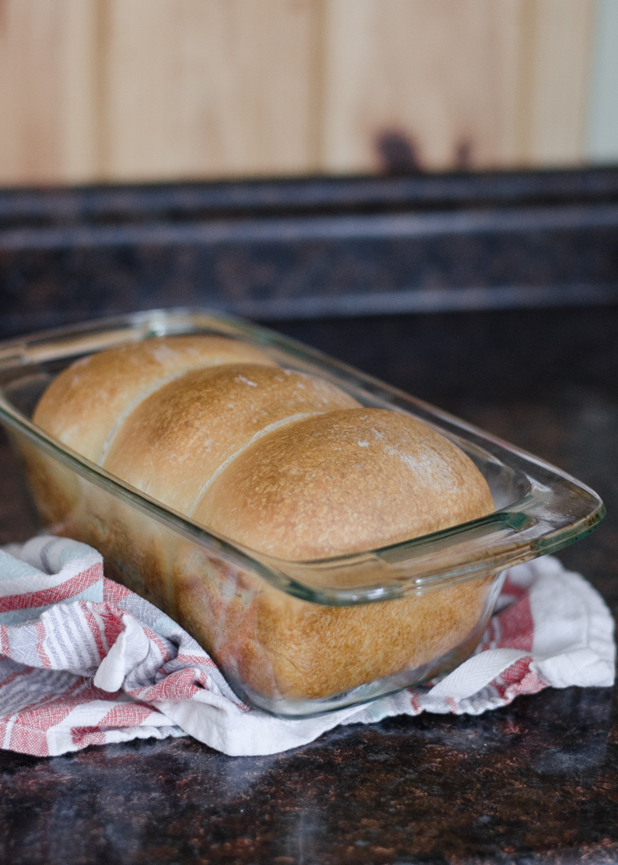 A baked loaf of sourdough sandwich bread still in the pan.