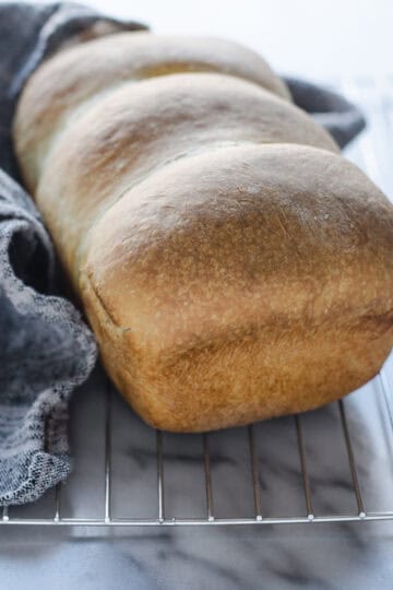 Sourdough Sandwich Bread