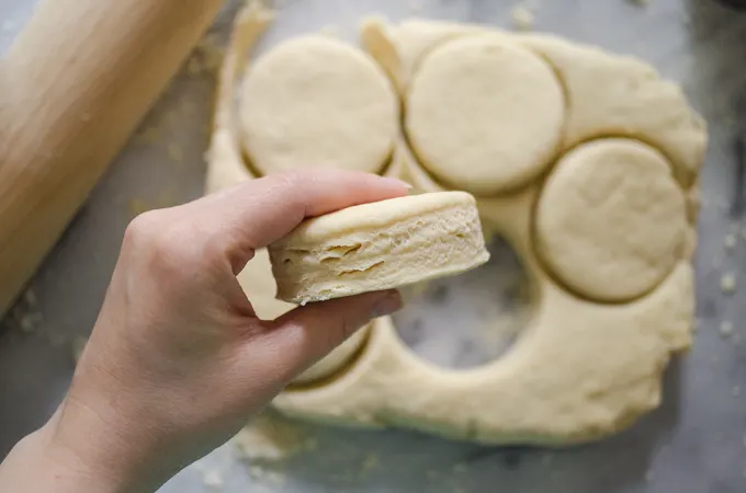 Photo showing the layers on the shortcakes.