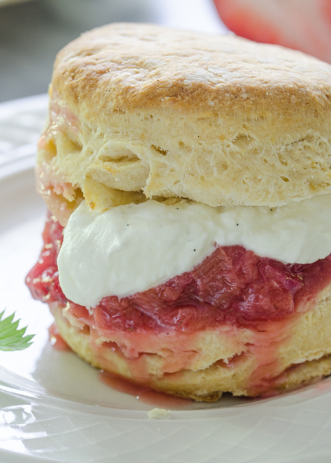 Shortcake Recipe with Sourdough Biscuits and Strawberry Rhubarb Compote