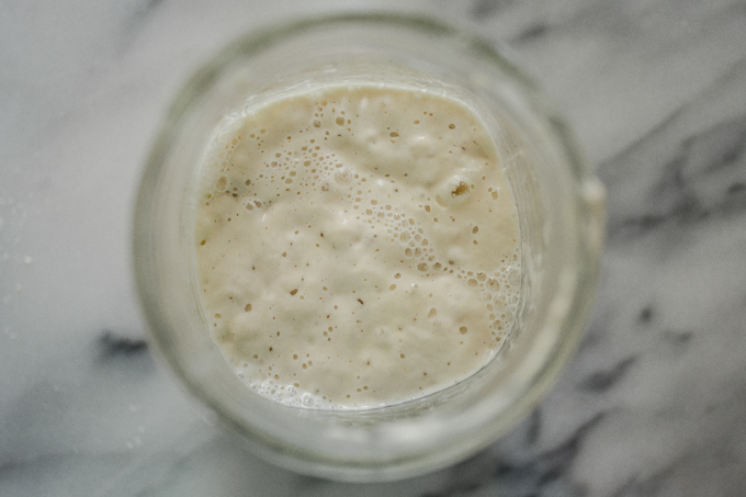 Active sourdough starter