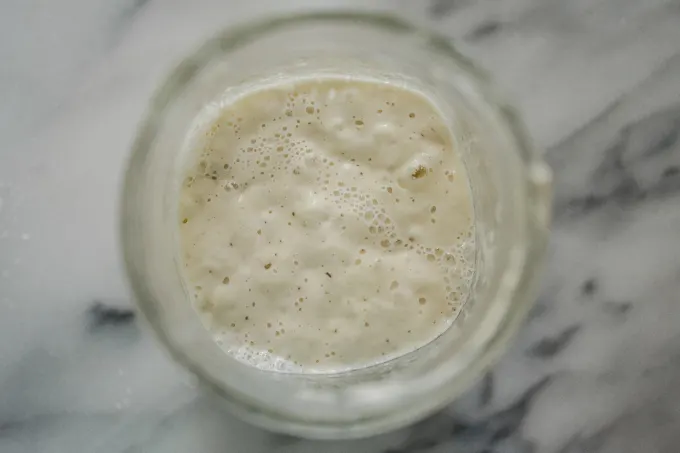 Active sourdough starter