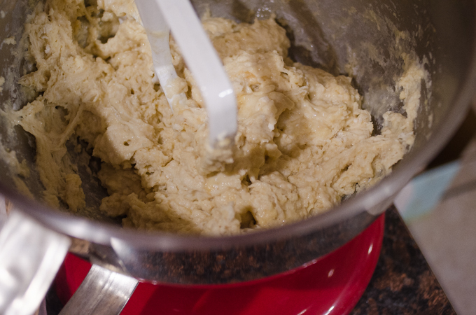 The dough roughly mixed in a stand mixer fitted with a paddle attachment.