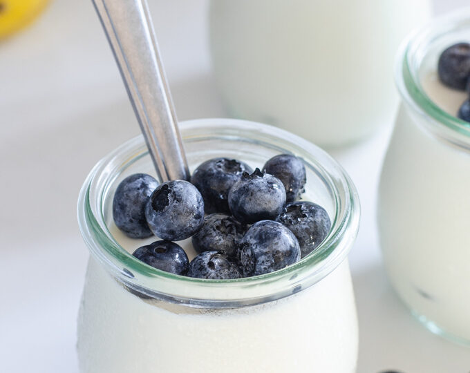 Jars of yogurt panna cotta with blueberries in them.