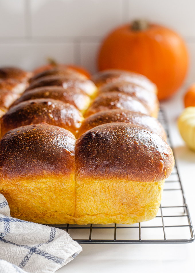 Pumpkin sourdough dinner rolls on a black wire cooling rack.