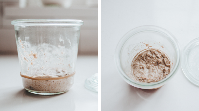 Day 2 of making a sourdough starter from scratch.