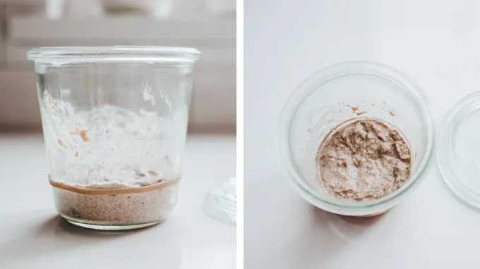 How to keep a Small Sourdough Starter - Baking Sense®