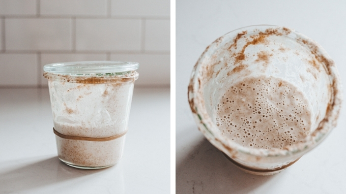 Sourdough Starter from Scratch - Scratch Eats