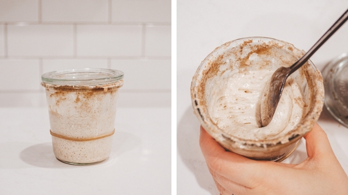 How to make a sourdough starter from scratch: day 10, second feeding