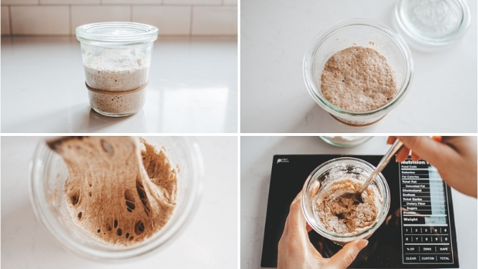 How to create a sourdough starter from scratch – Sourdough Supplies