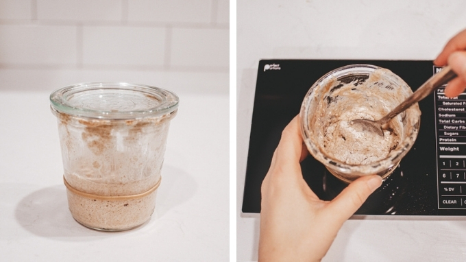 How to Make a Sourdough Starter From Scratch: Day 6