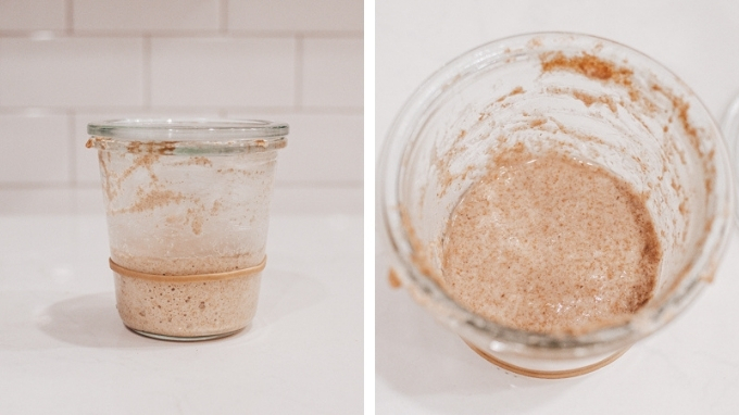 Growing a sourdough starter, Day 5