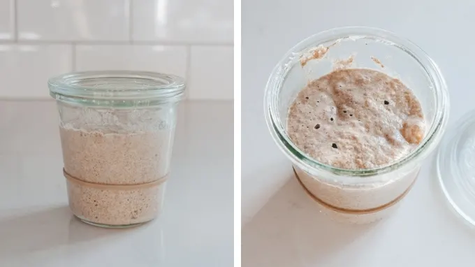 How to grow sourdough starter day 4