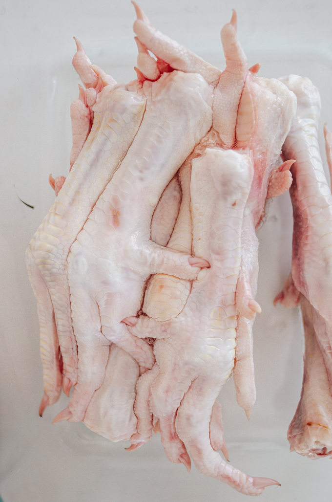 Close up shot of raw chicken feet.