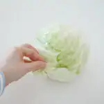Removing the outer leaves of a head of cabbage for making spicy sauerkraut.