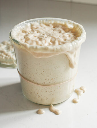 Sourdough Starter Troubleshooting and Frequently Asked Questions