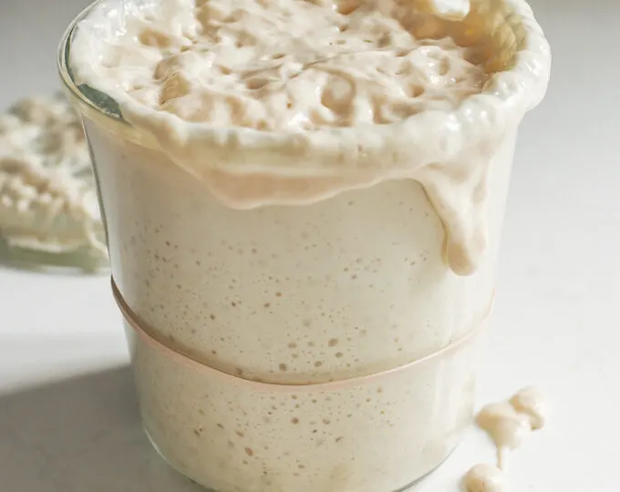 Sourdough Starter Troubleshooting and Frequently Asked Questions