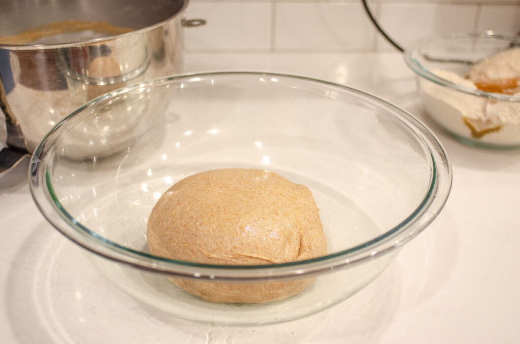 The ball of whole wheat sourdough dough in a large bowl ready for its first rise.