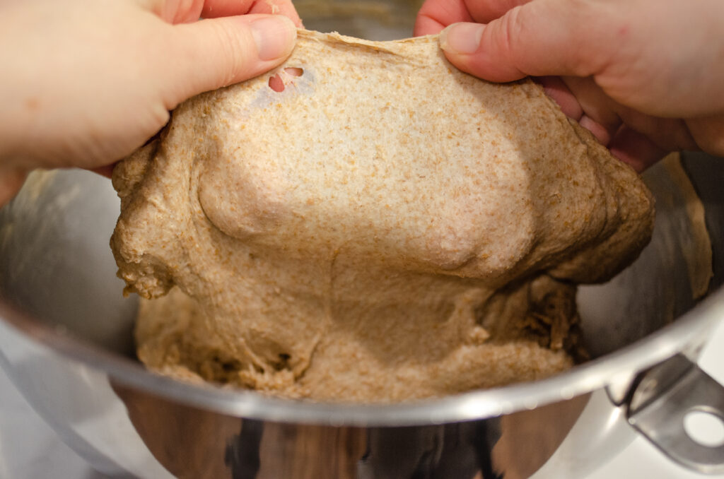 Stretching out a pieces of dough to see if it passes the windowpane test. 