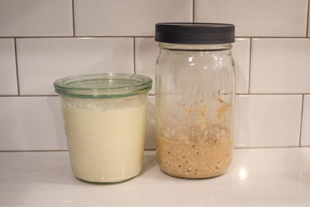 A white flour sourdough starter and a whole wheat flour sourdough starter side by side for comparison.