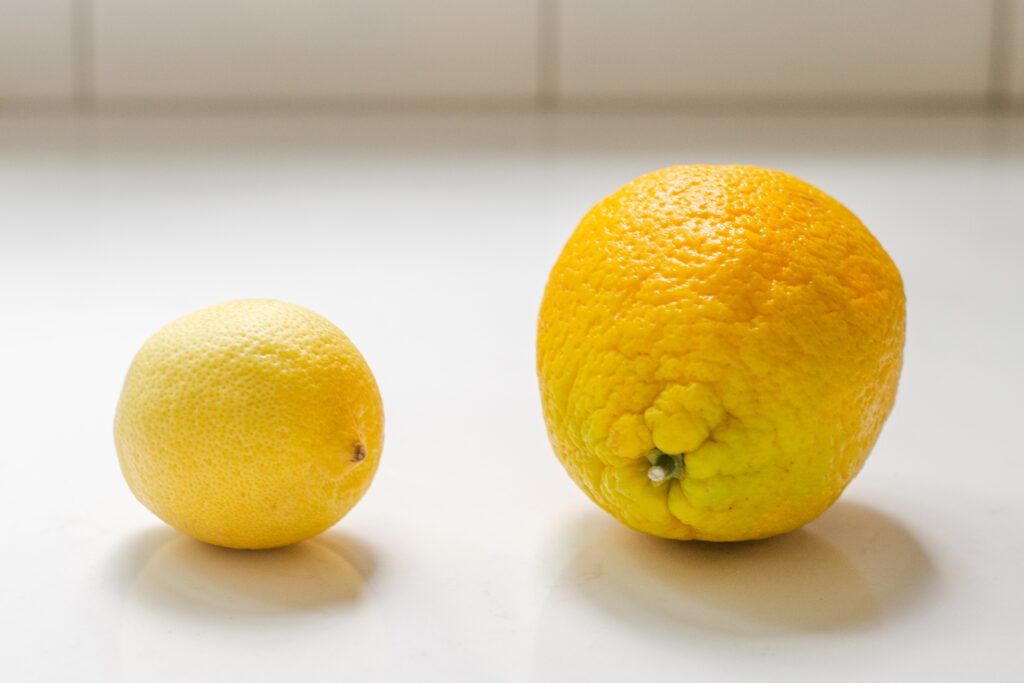 A lemon and an orange on a countertop.