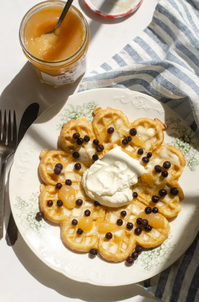 Sourdough discard waffle with lemon curd, whipped cream, and blueberries on top.