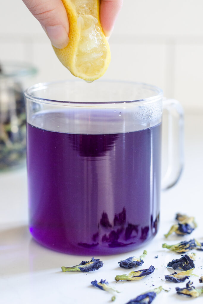Adding lemon to a mug of blue butterfly pea flower tea to change the color to purple.
