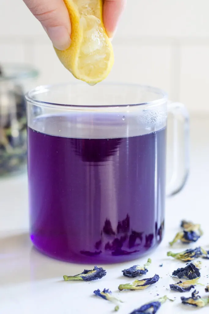 Adding lemon to a mug of blue butterfly pea flower tea to change the color to purple.